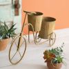 Thornehill Trike Planter - Unique Garden Decor for Plants and Flowers